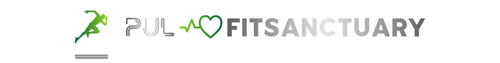 Pulsefitsanctuary